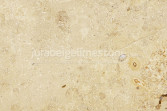 Jura Beige Dark limestone